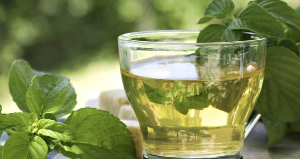 Beneficios de tomar té verde después del entrenamiento