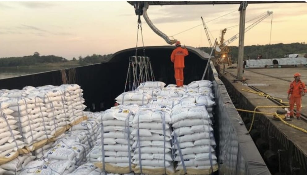 Paraguay vuelve a exportar arroz a México