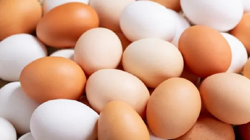 Costos de producción y el calor afectan precio del huevo, aseguran